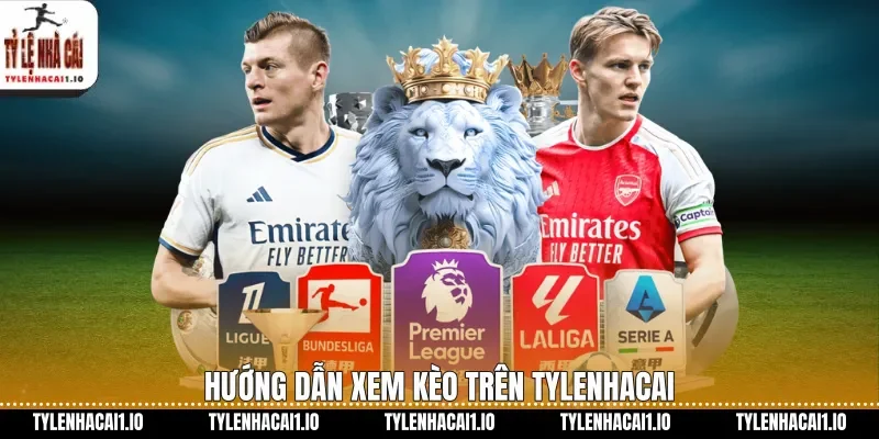 Cách Đọc Kèo Châu Á Tylenhacai Dễ Hiểu Cho Người Mới 2 Hướng dẫn xem kèo trên tylenhacai